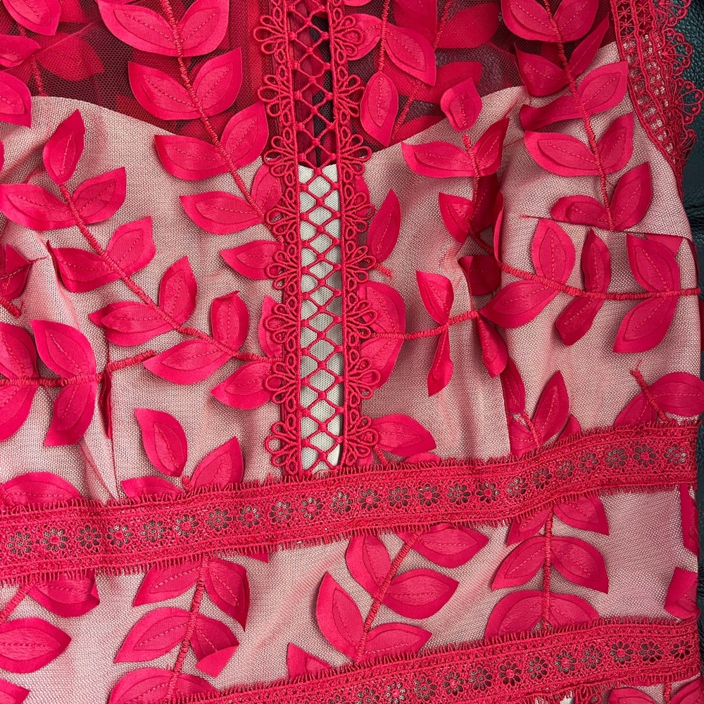 Bronx and Banco Bold Red Lace & Appliqué Midi Dress - Picture 10 of 11